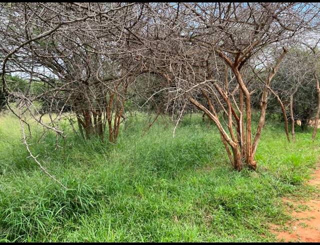 LAND FOR SALE IN CHROOM PARK